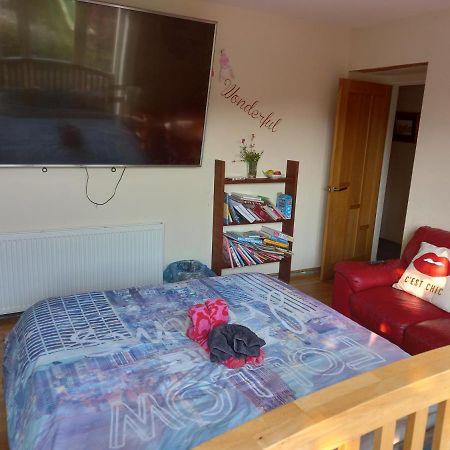 No 9 Manor Way Leilighet Carmarthen Eksteriør bilde